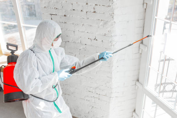 Best Emergency Mold Remediation in Nneconne, WI